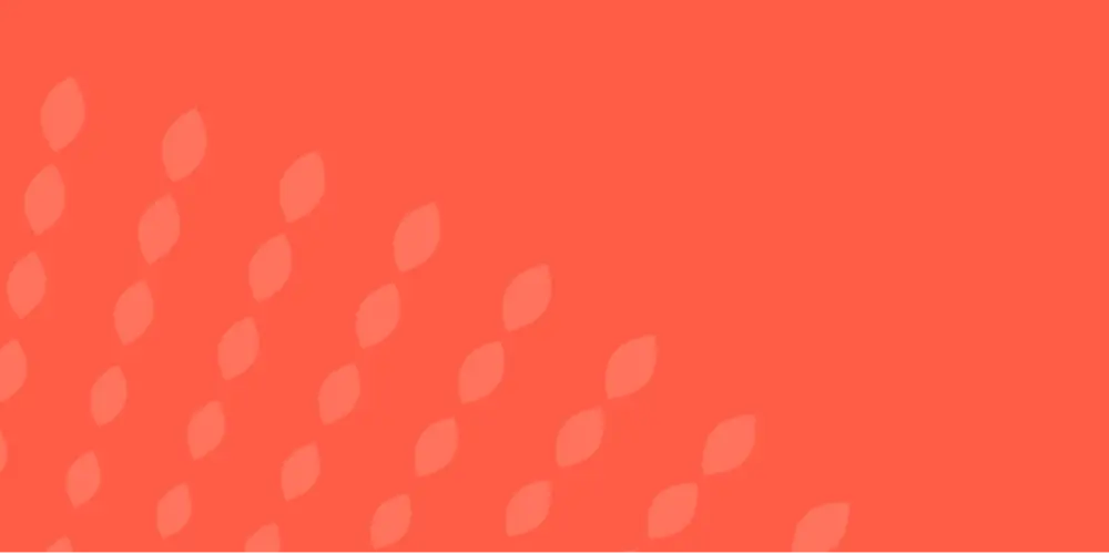 Bloom Insurance